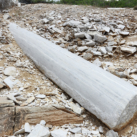 Unfinished monolithic column.