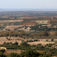 The plain of Maroneia today, westward the current crops.