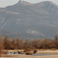 Nestos at the height of Toxotes village, in its exit from the Straits. In the background the Rodopi Mountains and the road that leads to Imera.