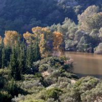 Η βλάστηση στα Στενά το φθινόπωρο.