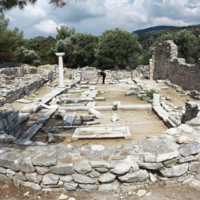 Νότια βασιλική. 