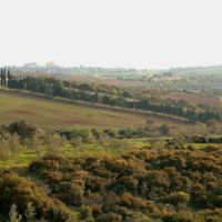 The cultivated plain of Maronia.